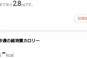 ここら辺に、どうしても超えられない 壁がある感じがする・・・(´・ω・`)ｼｮﾎﾞｰﾝ　ライダーがダイエット頑張るスレ