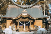 【超異常】外国人、神社でとんでもない事をしてしまう！！！！！