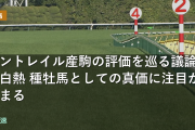 コントレイル産駒の評価を巡る議論が白熱 種牡馬としての真価に注目が集まる