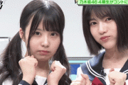 【乃木坂46】これ、“てち”と“ねる”に見えるな...