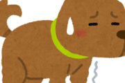 犬の様子がおかしいんやが