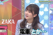 【日向坂46】電車や仮面ライダーが好きなおひさま、終了のお知らせ。