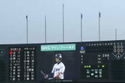 7年前(2013年)に8連勝した時のロッテスタメンがこちらwww