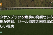 キタサンブラック産駒の高額セレクト馬が苦戦、セール億超え回収率の厳しい現実