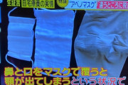 画像　アベノマスク届き始めるも国民から「小さすぎる、空気の通り悪く苦しい」と猛批判…