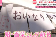 【朗報】声優・花澤香菜さん、『いなり屋』の娘と判明！