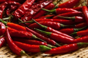 唐辛子「こんなに辛いのに食べられるなんておかしい。人間は変態すぎる」