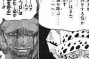 【ONE PIECE】で地味にまだ謎なことwwwwwｗｗｗｗｗｗｗｗｗｗｗ