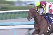 騎手変えたら驚くほど勝ち出したお馬さんといえばwww