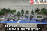 「大麻のような臭いがする」と通報された男、大麻取締法違反で再逮捕