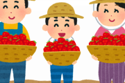 義兄嫁実家から不定期に贈り物。どうやら農業を手伝わせたいらしいのだけど…