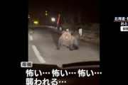 【不安】札幌市中心部でクマ目撃　繁華街「ススキノ」周辺でも…住宅街で“クマの足跡”　公園は全面閉鎖・見回りに猟友会も