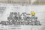 【悲報】算数の先生、とんでもない採点をしてしまうｗｗｗｗｗｗ