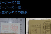【悲報】初当選ガーシーさん「逮捕や報復されるリスクがあるので、いま日本に帰るの怖い」←エッ!??