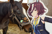 【ウマ娘】柵は壊すけど実はおとなしい方だったタニノギムレット