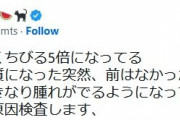 【悲報】中川翔子さん、タラコ唇になる