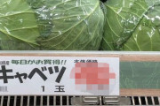 【悲報】富山県、ついに1時間働いただけではキャベツ1玉が買えない世界線へ突入・・・