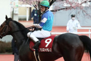 アリストテレス天皇賞春へ  音無師「結局は道悪が下手ということが分かった」