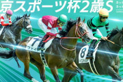 第27回 東京スポーツ杯2歳ステークス (GⅡ)