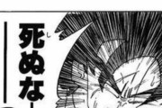 ヤムチャ「悟空…死ぬな…死ぬなーっ！」