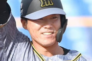 阪神　６番・右翼に陽川　ロハスはベンチ外