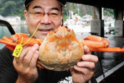 ベニズワイガニ初競り 史上最高の1匹10万円