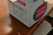 勢いでポチッた5Lのスイカ届いたぞ！！！！！！！！！！！！！！