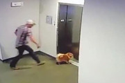 エレベーターに引きずり込まれそうになった犬、居合わせた男性が間一髪で救助　米