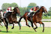 【日本海S】ゲルチュタールが出世レース制す