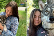 ロシア人女性「私が飼っているオオカミについて紹介するわ」