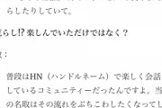 名取さなさん、小学生の頃に荒らしをして痛い目を見ていた【Vtuber】