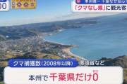【朗報】千葉県、クマが入ってこない聖域だった