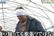 『ザ！鉄腕！DASH！！』シンタローがDASH村の棟梁に！石川県でギャル農家から新たな農業を学ぶ