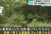 【 山梨・女児行方不明】女児が履いていたものと特徴が一致する運動靴が今になり見つかる