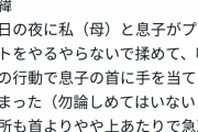 【画像】母親「息子の首を少し締めただけで児童相談所に拉致された！返して！」