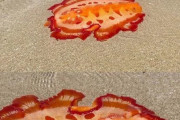 【衝撃】海岸に打ち上げられた巨大ウミウシが発見される！　海外の反応