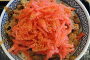 たまに牛丼に紅しょうが山盛りにしとるやつおるけど何がしたいんや