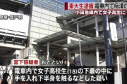 【悲報】東大生さん、電車内で女子高生に痴漢をして逮捕される → ツイッターを特定されアニオタだと判明するｗｗｗｗｗｗ