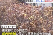 【速報】東京都、ビッグモーターに9店舗分を請求「土壌の調査費用も含む原状回復費用を10日以内に払え」ボッタクり過ぎとの声も※これが全国で発生する模様
