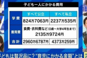 子どもは“贅沢品”になったのか？「産めば意外とどうにかなる」は今や昔「慎重になって当然」の声も
