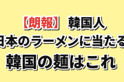 【朗報】韓国人「日本のラーメンに相当する韓国の麺がこれｗｗｗ」