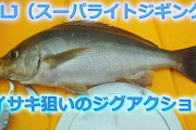 『イサキSLJは専用ロッド（釣り竿）がオススメなワケ　流用ロッドよりも釣りが楽しいから？』についてまとめてみた