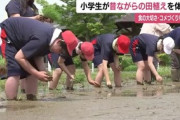 【話題】福島テレビ「『田植えは大変』児童たちが手植えに挑戦」 農家「こんな田植えはいま米農家は誰もしていないので、ネガティブ思考を子どもに植えつけるの止めてほしいです」