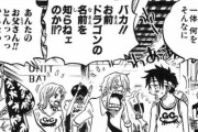 ルフィ「俺は海賊王になる男だ！」　敵「なれる訳がない」　ルフィ「ふうん…」