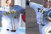 阪神　高野、福永はトライアウト受験へ　現役続行に意欲