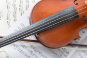 【悲報】バイオリンとかいうクッソ難易度高い楽器wwwwwwwwwww