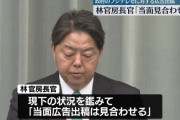 日本政府、フジテレビへの広告出稿中止ｗｗｗｗｗｗｗｗｗ