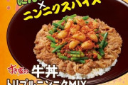 すき家のニンニクMIX牛丼食べた感想どうや？