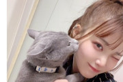 【炎上】猫好きおじさん、セクシー女優をブチギレさせるｗｗｗｗｗｗ