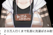 【悲報】文野環さん、20万洗濯ばさみ耐久配信を敢行し無事削除をくらう